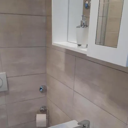 Studio Apartment דירה ויר